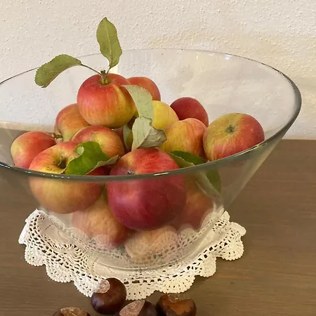 Koppelblick شقة Pfarrweisach